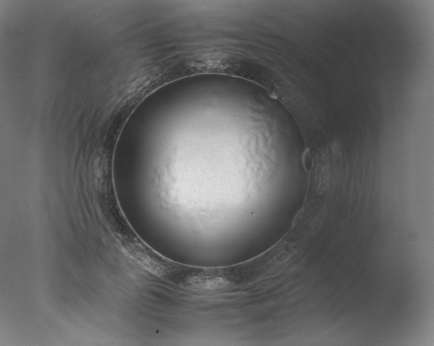 X0000077280747200610271458