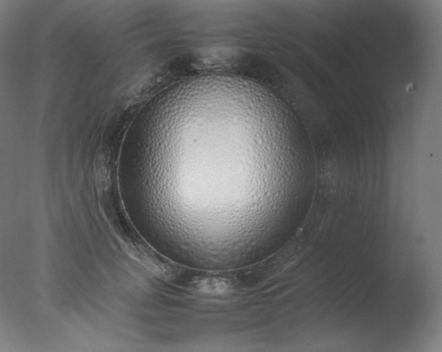 X0000077280751200610271458