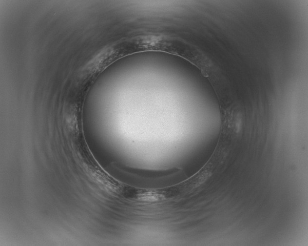 X0000077280754200610271458