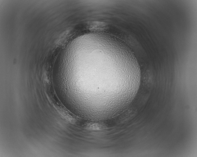 X0000077280755200610271458