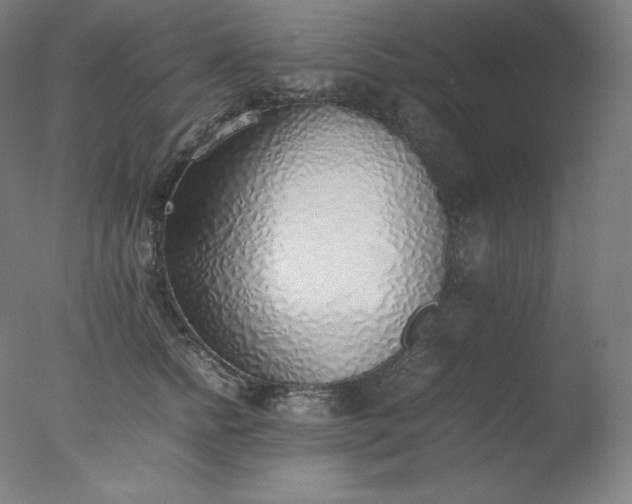 X0000077280758200610271458