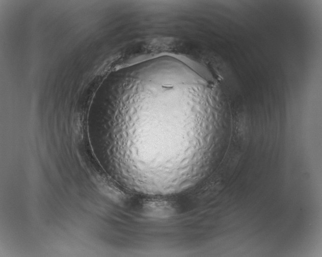 X0000077280759200610271458