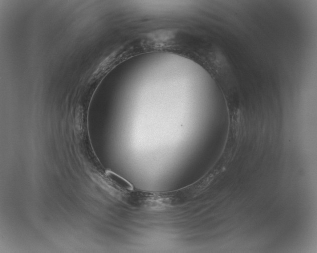 X0000077280760200610271458