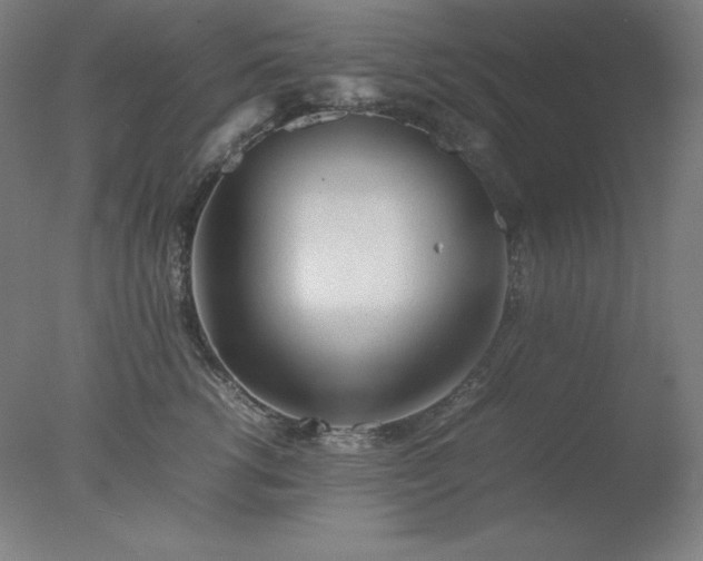 X0000077280762200610271458