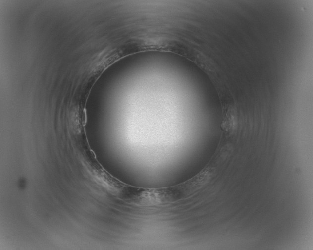 X0000077280764200610271458