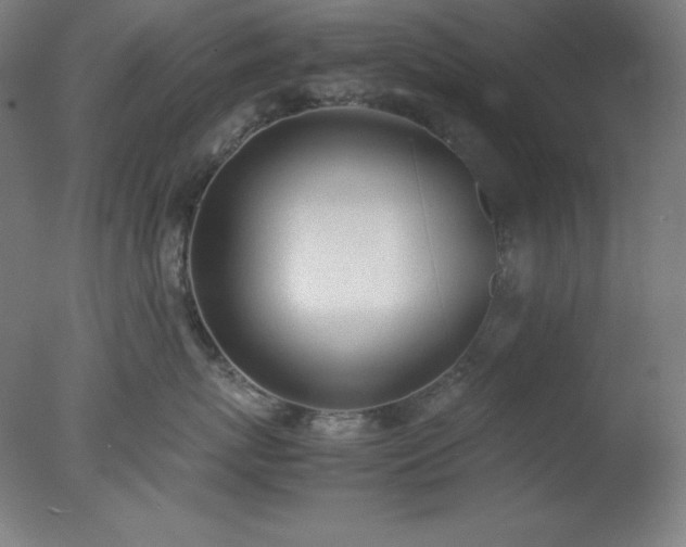 X0000077280767200610271458