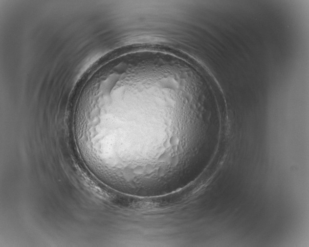 X0000077280783200610271457