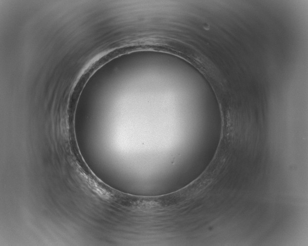 X0000077280784200610271457