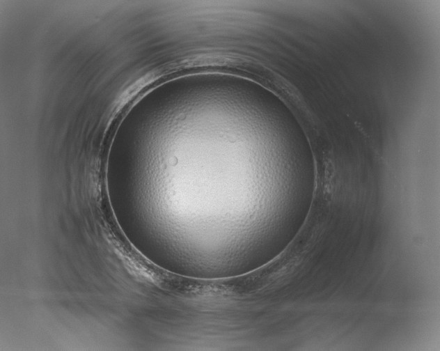 X0000077280786200610271457