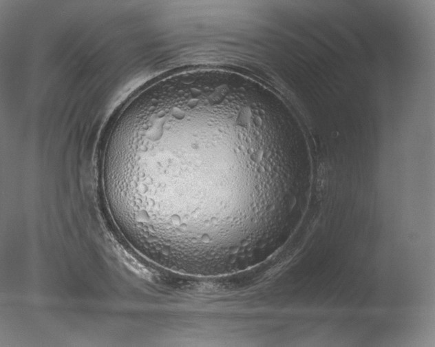 X0000077280787200610271457