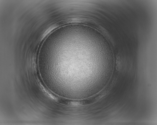 X0000077280794200610271457