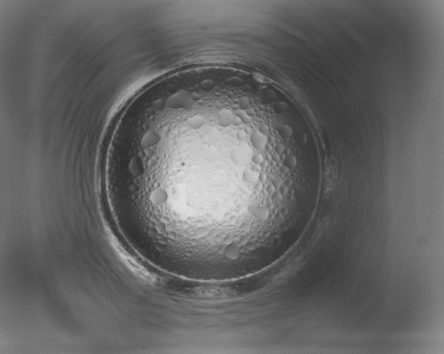 X0000077280795200610271457