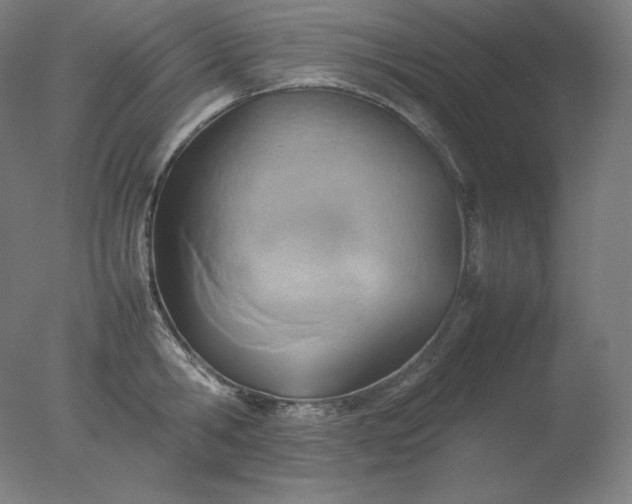 X0000077280806200610271457