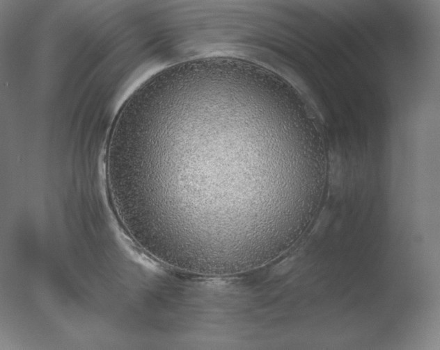 X0000077280814200610271457