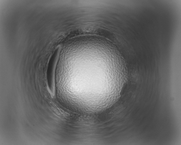 X0000077280817200610271456
