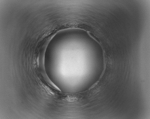 X0000077280818200610271456