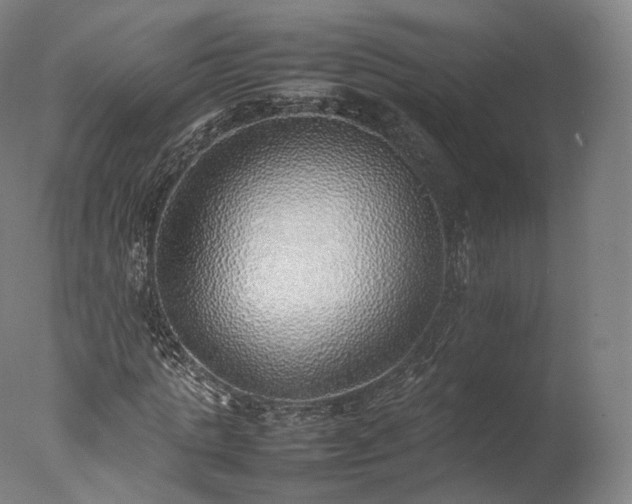 X0000077280821200610271456