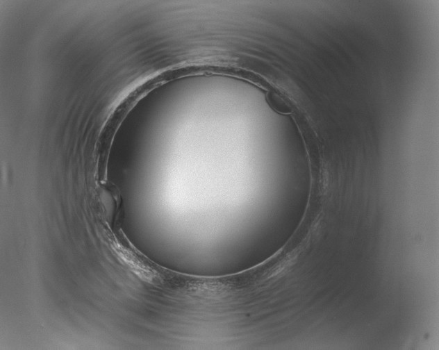 X0000077280830200610271456