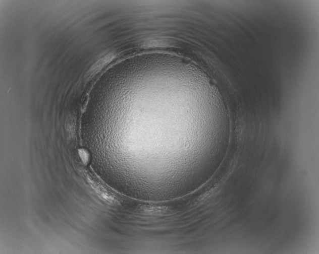 X0000077280833200610271456