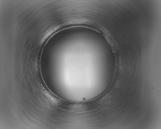 X0000077280834200610271456