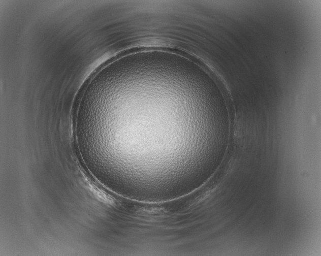 X0000077280837200610271456