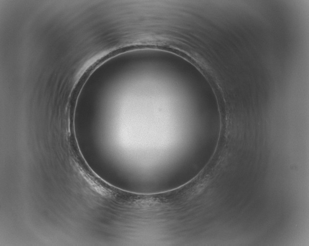X0000077280838200610271456