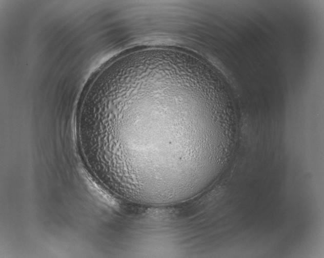 X0000077280840200610271456