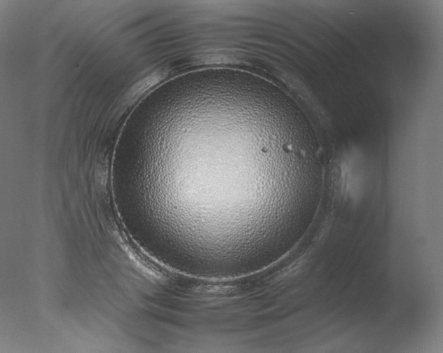 X0000077280841200610271456