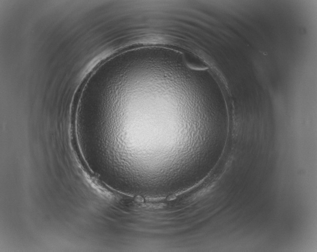 X0000077280845200610271456