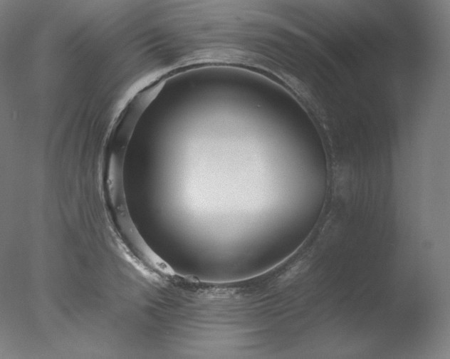 X0000077280846200610271456