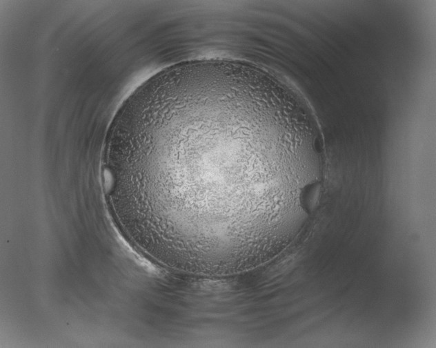 X0000077280847200610271456