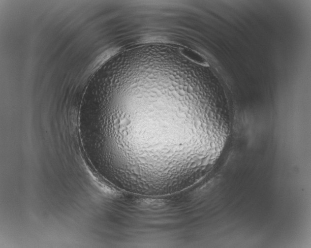 X0000077280849200610271456