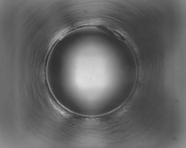 X0000077280850200610271456