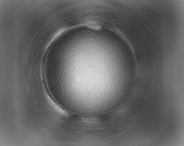X0000077280851200610271456