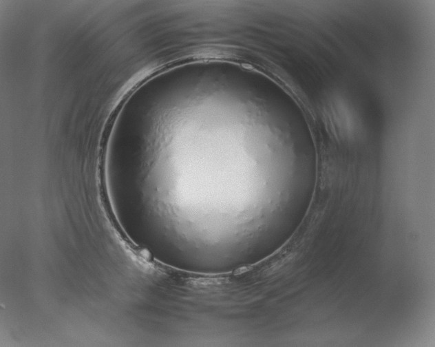 X0000077280853200610271457