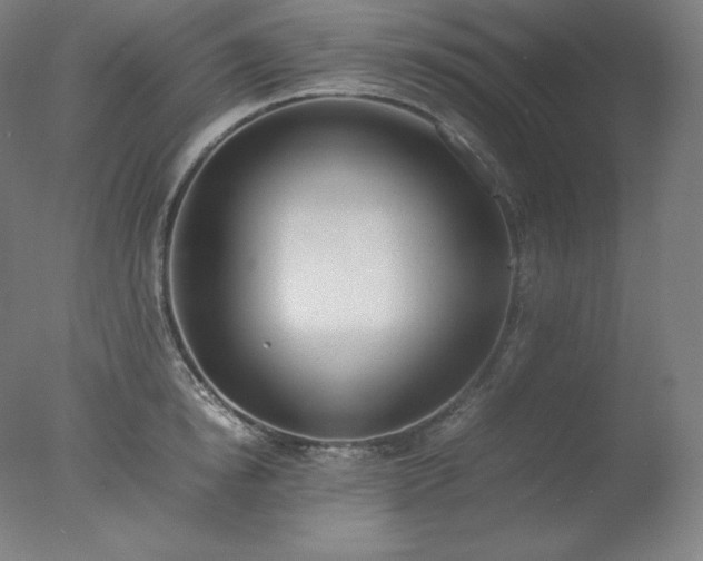 X0000077280854200610271457