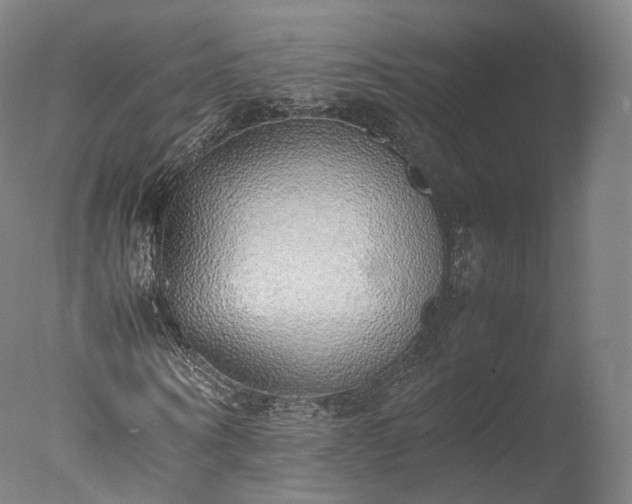 X0000077280866200610271456