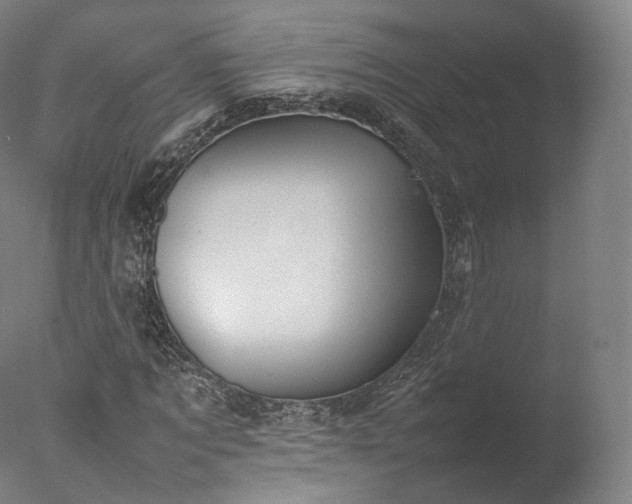 X0000077280869200610271456