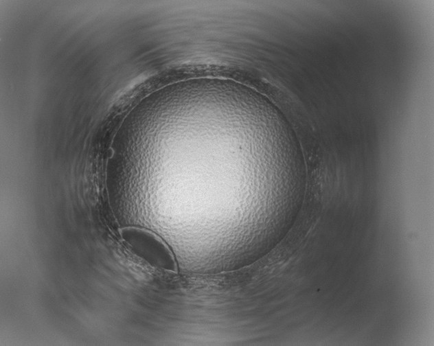 X0000077280870200610271456