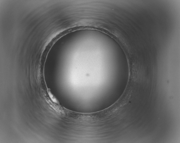 X0000077280880200610271456
