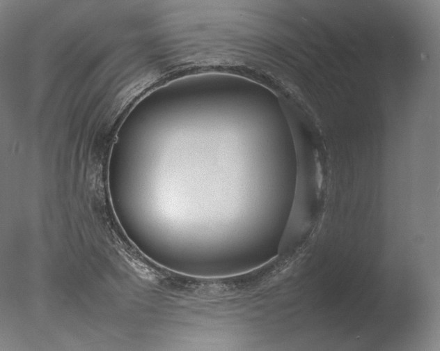 X0000077280881200610271456