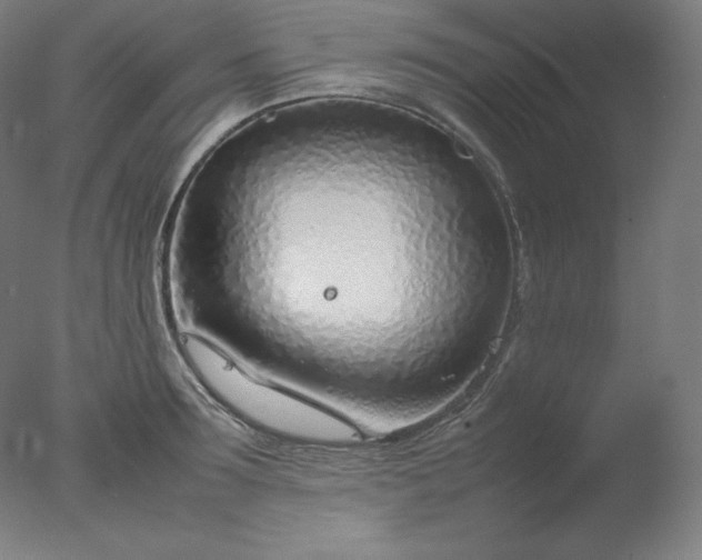 X0000077280899200610271455