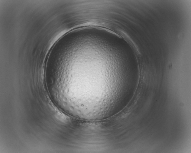 X0000077280900200610271455