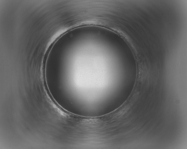 X0000077280902200610271455