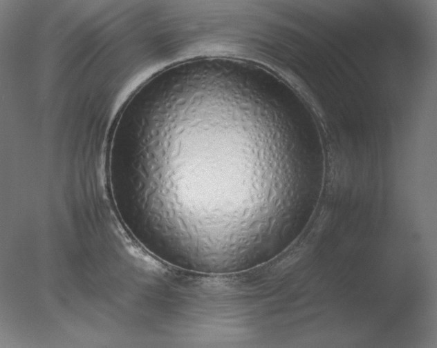 X0000077280904200610271455