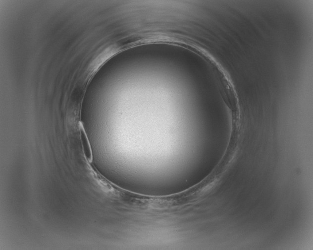 X0000077280905200610271455