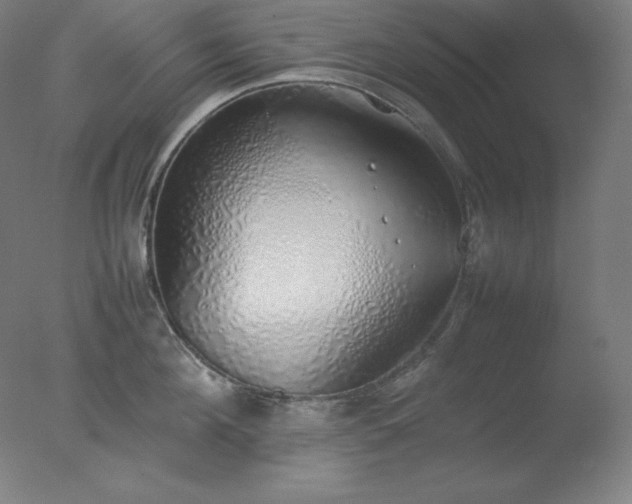 X0000077280908200610271455