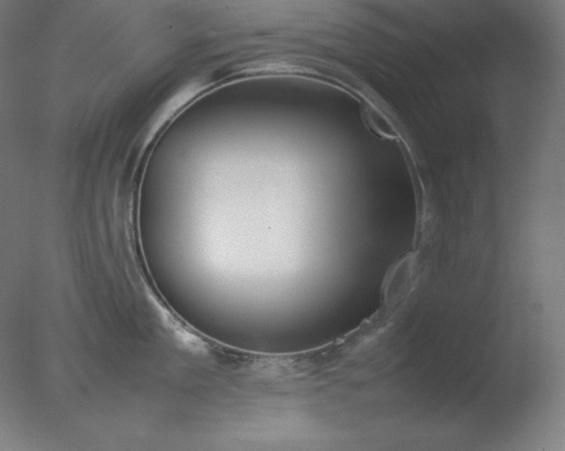X0000077280909200610271455