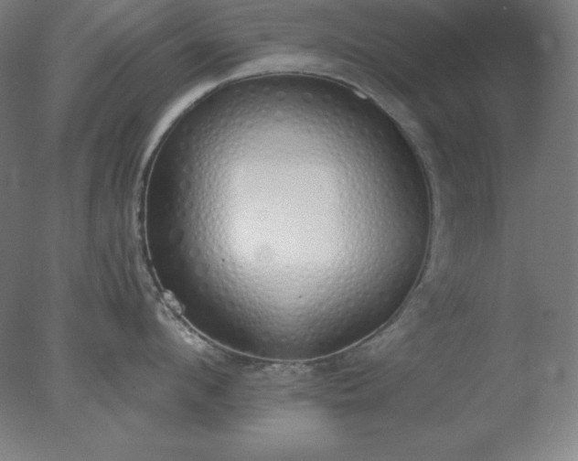 X0000077280912200610271455