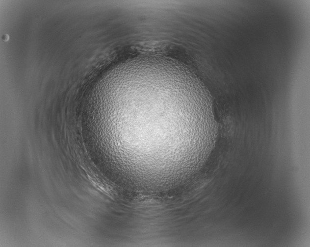 X0000077280913200610271454
